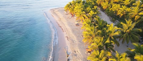 Playa