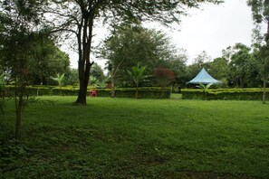 Imagen general