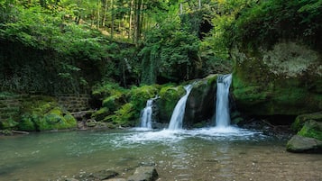 A natural waterfall in a forested area with clear water and surrounding greenery.