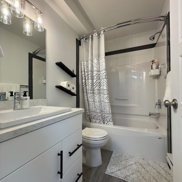 Shower, hair dryer, bidet, towels