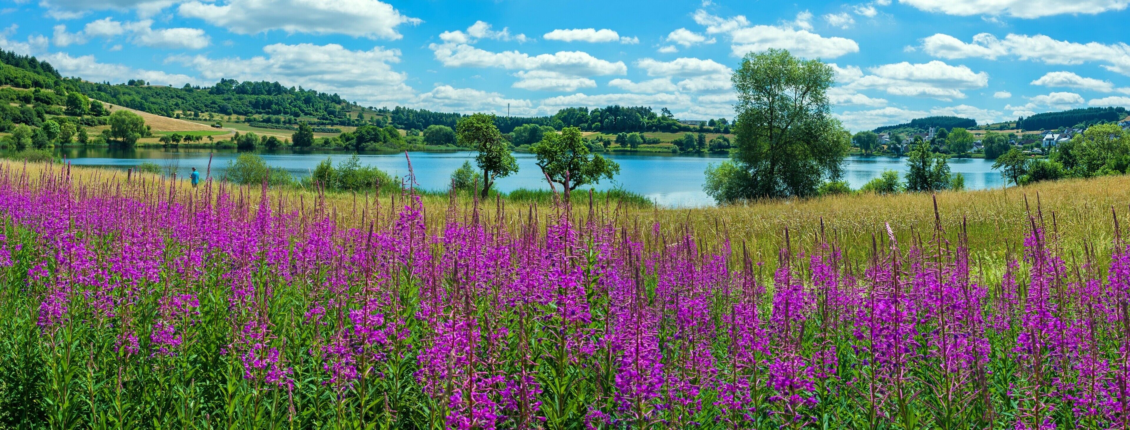 Un lago circondato da campi di fiori viola e un cielo azzurro terso.