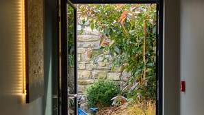 An open door leading to a courtyard with a bicycle, plants, and a stone wall.