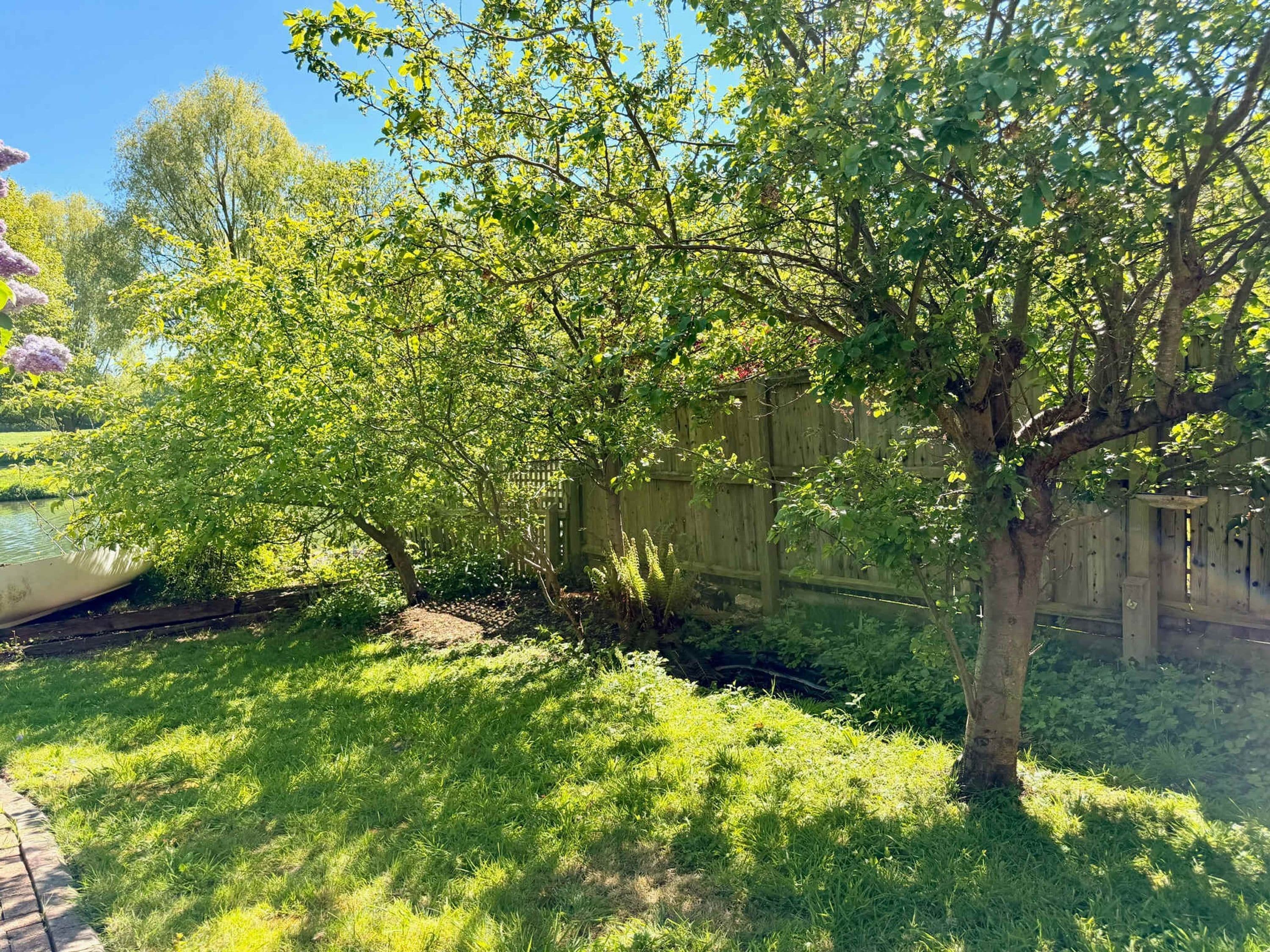 Un patio trasero con un árbol, una valla de madera y un bote.
