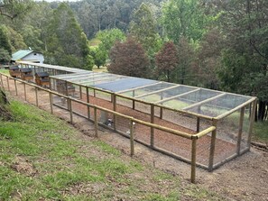 A greenhouse structure with a metal frame and mesh covering, surrounded by a wooden fence. - Grandview retreat | Riverside Farmstay escape (Noojee)