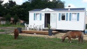 Ein Wohnmobil mit Veranda, Sitzgelegenheit im Freien und zwei Weidepferden in der Nähe.