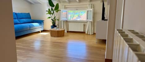 TV