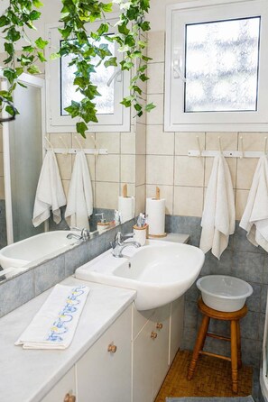 Douche, sèche-cheveux, serviettes fournies, shampoing