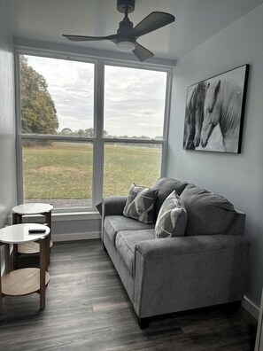 Een kamer met een grijze bank, een plafondventilator, een groot raam met uitzicht op een veld en een aan de muur hangend kunstwerk.