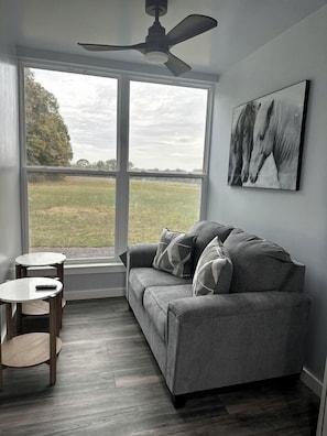 A room with a grey sofa, a ceiling fan, a large window with a view of a field, and a mounted artwork.