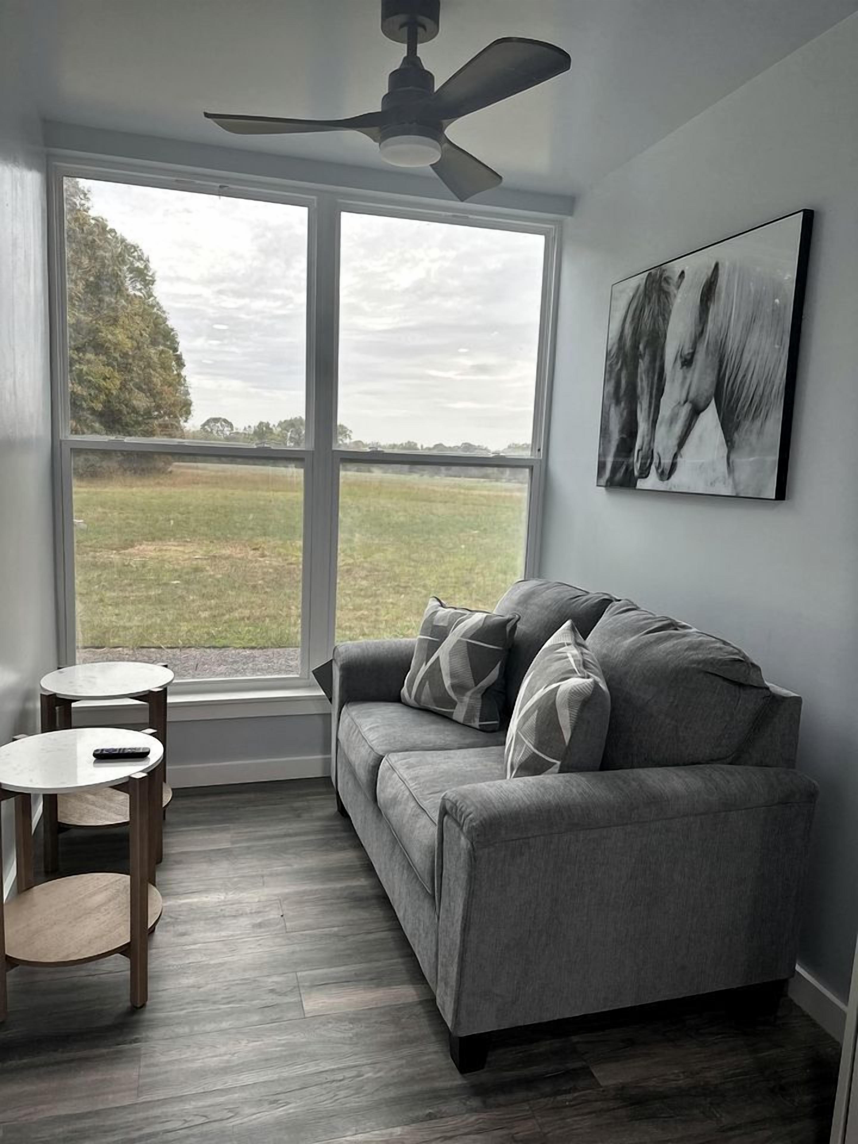 A room with a grey sofa, a ceiling fan, a large window with a view of a field, and a mounted artwork.