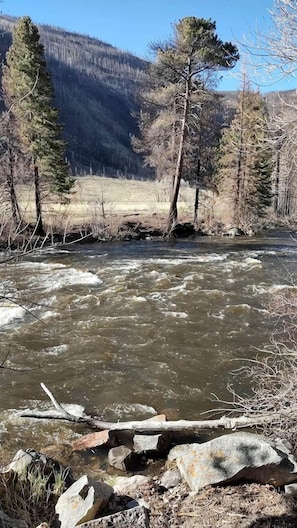 A river with clear water, surrounded by trees and a mountainous backdrop.