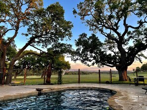 A swimming pool with a fountain, surrounded by trees and a fence. - Luxurious German-Style Ranch Vacation Rental with Pool Access and Stunning Views in Bergheim, Texas (Bergheim)