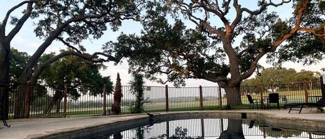 Piscina rodeada de árboles y un área cercada con mobiliario exterior.