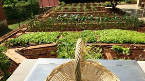 Un jardín con camas elevadas y una cesta tejida sobre una mesa.