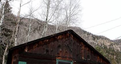 Remote and Off-Grid Cabin in Poudre Canyon, Perfect for a Fishing Retreat