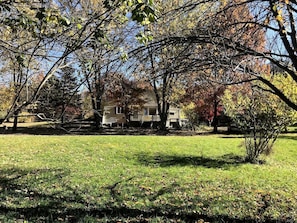A residential area with a house surrounded by trees and a grassy lawn.
