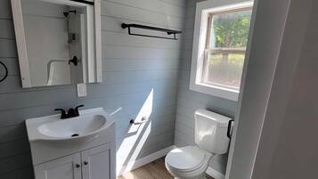 Hair dryer, soap, shampoo, toilet paper