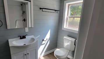 Hair dryer, soap, shampoo, toilet paper
