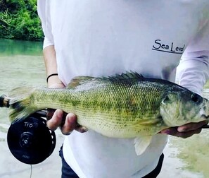 Una persona che tiene un pesce con una bobina da pesca.