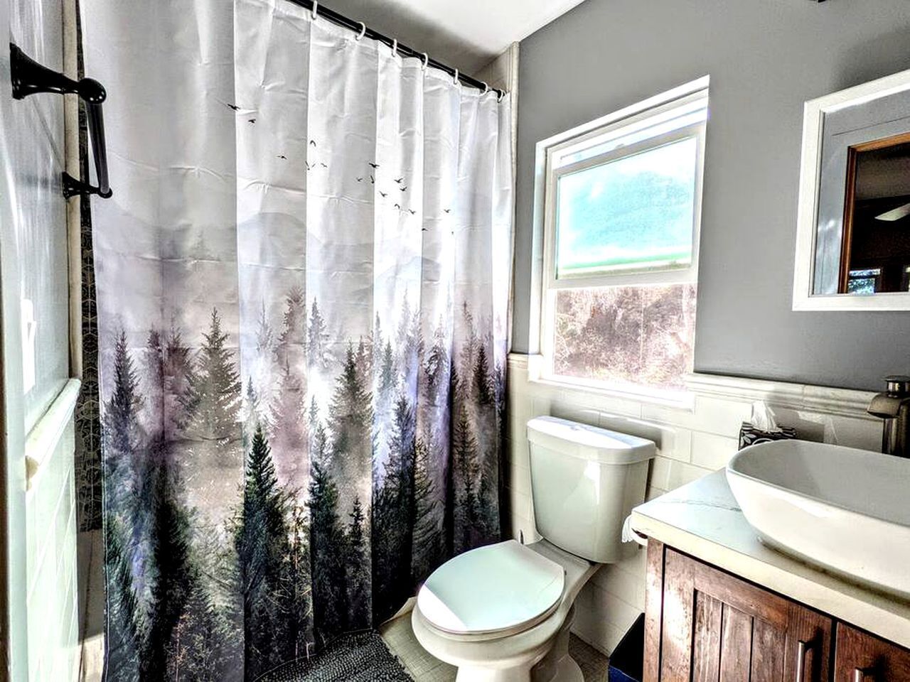 Hair dryer, soap, shampoo, toilet paper