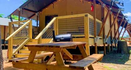 Luxury Reunion: Safari Tent Glamping for Friends Getaway in Cibolo, TX