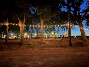 A campsite with trees, string lights, and a distant building. - Luxury Reunion: Safari Tent Glamping for Friends Getaway in Cibolo, TX (Cibolo)