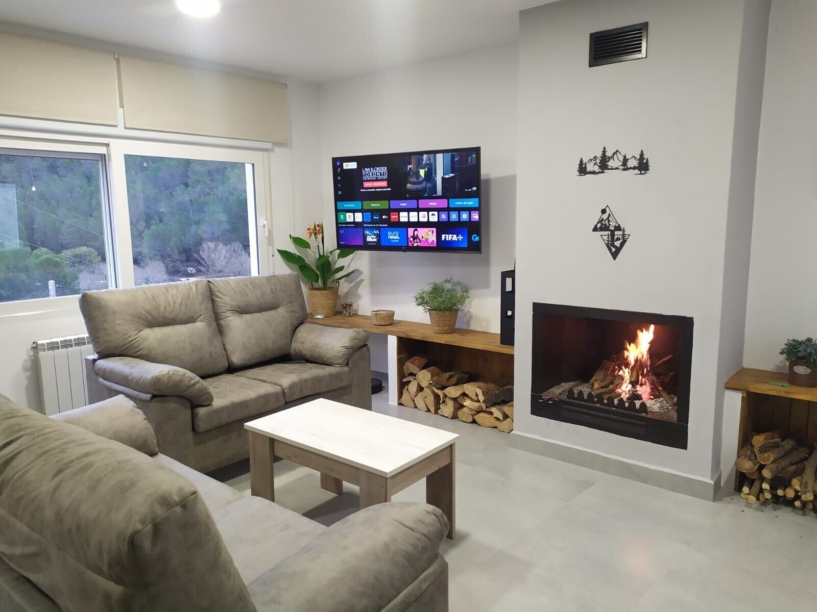 TV, fireplace
