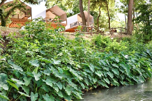 Cabaña Son's Rio Cibolo Waterfront Cabin, San Antonio, Texas