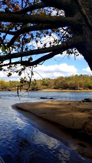 A riverbank with a sandy area and trees in the background. - Arkansas River Paradise: Cabin with Large Deck Overlooking Breathtaking Views (Calico Rock)