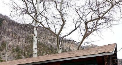 Simple, Pet Friendly Country Cabin in Poudre Canyon, Colorado