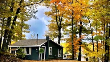 A single-story house with a dark exterior, surrounded by trees with autumn foliage.