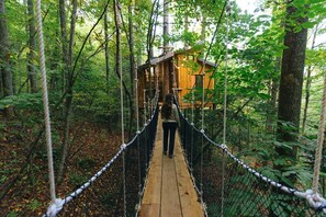Un puente colgante de madera que conduce a una cabaña en un bosque.