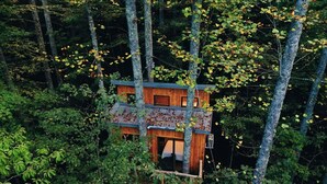 A treehouse cabin with a wooden exterior, a small entrance, and a window. - Magical Treehouse Stay with Creekside Sauna Experience in Zirconia, North Carolina (Zirconia)
