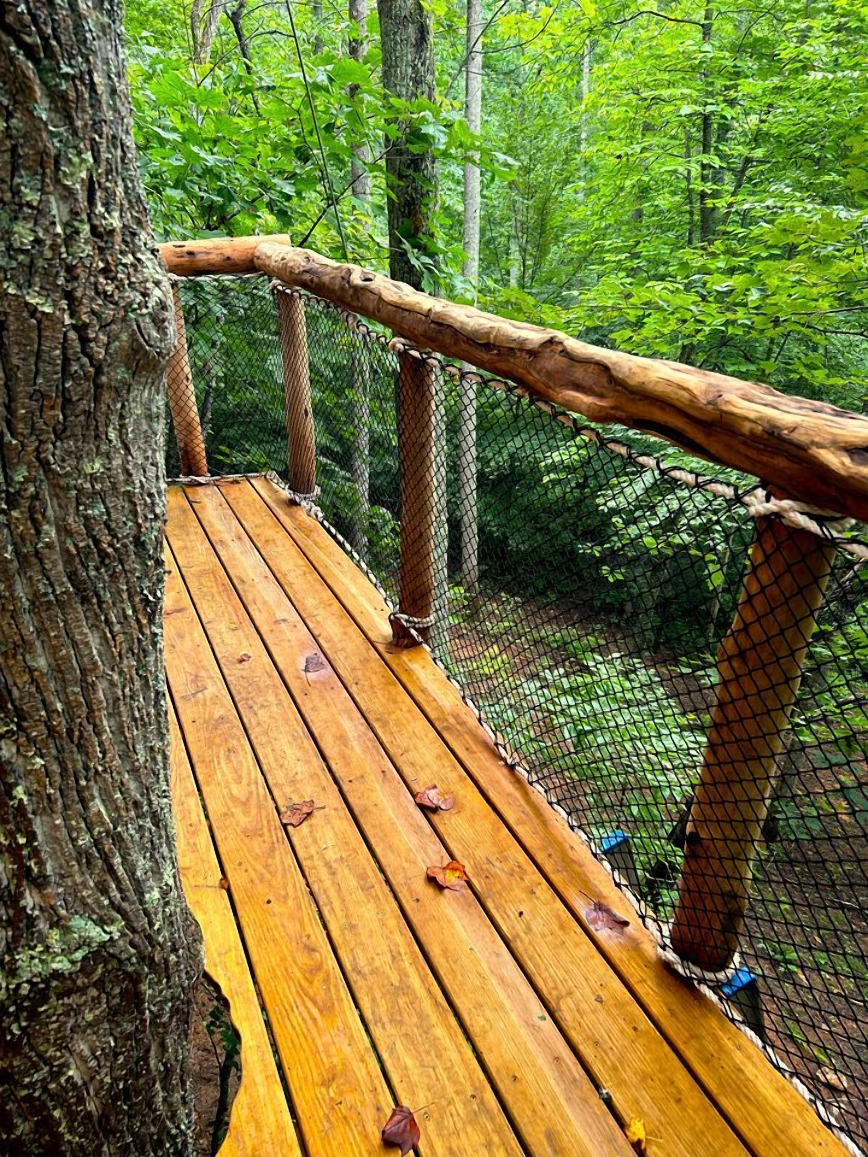 Un puente de madera con barandilla de malla, rodeado de árboles y vegetación.
