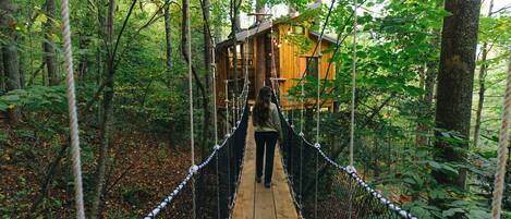 Un puente colgante de madera que conduce a una cabaña en un bosque.