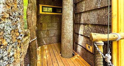 Magical Treehouse Stay with Creekside Sauna Experience in Zirconia, North Carolina