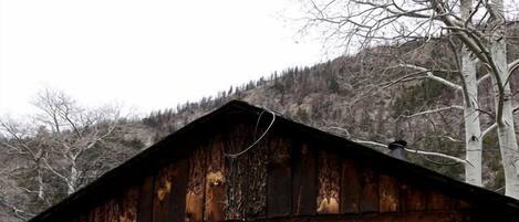 A rustic log cabin with a single door and windows, surrounded by a natural landscape.
