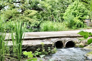 Eine Betonbrücke über einem Bach, umgeben von Grün.