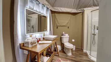 Hair dryer, towels, soap, shampoo