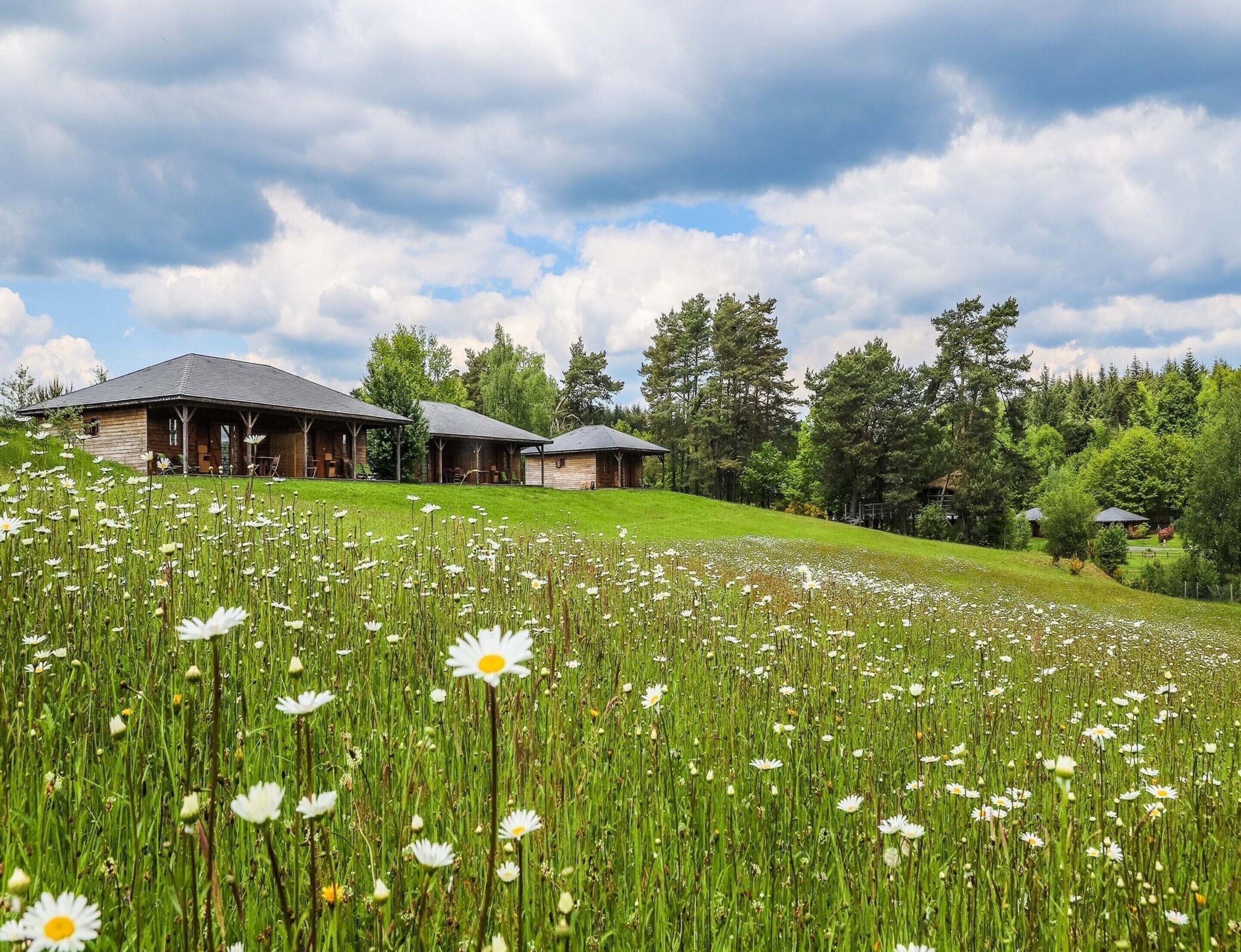 A rustic cabin with a covered porch, surrounded by a field of daisies and tall grass, under a partly cloudy sky.