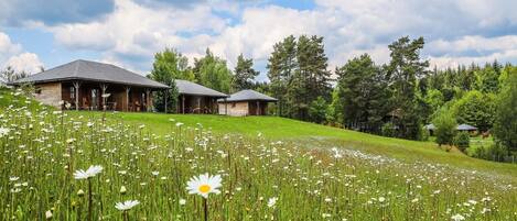 A rustic cabin with a covered porch, surrounded by a field of daisies and tall grass, under a partly cloudy sky.