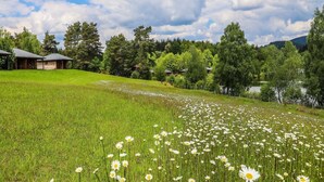Een veld met witte margrieten, een grasheuvel en een rij gebouwen, met daarin de achtergrond van een bos.