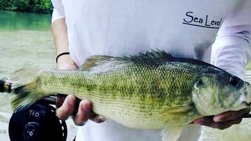 Une personne tenant un poisson et une canne à pêche.