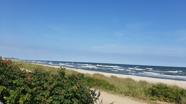 Ein Strand mit Wellen, Sand und grüner Vegetation.