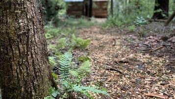Metsäpolku, jonka varrella on puunrunko, saniaisia ja taustalla näkyy puinen rakennelma.