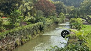 Ein Fluss mit einer Brücke, umgeben von üppiger Vegetation und Hügeln.