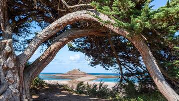 Plage à proximité