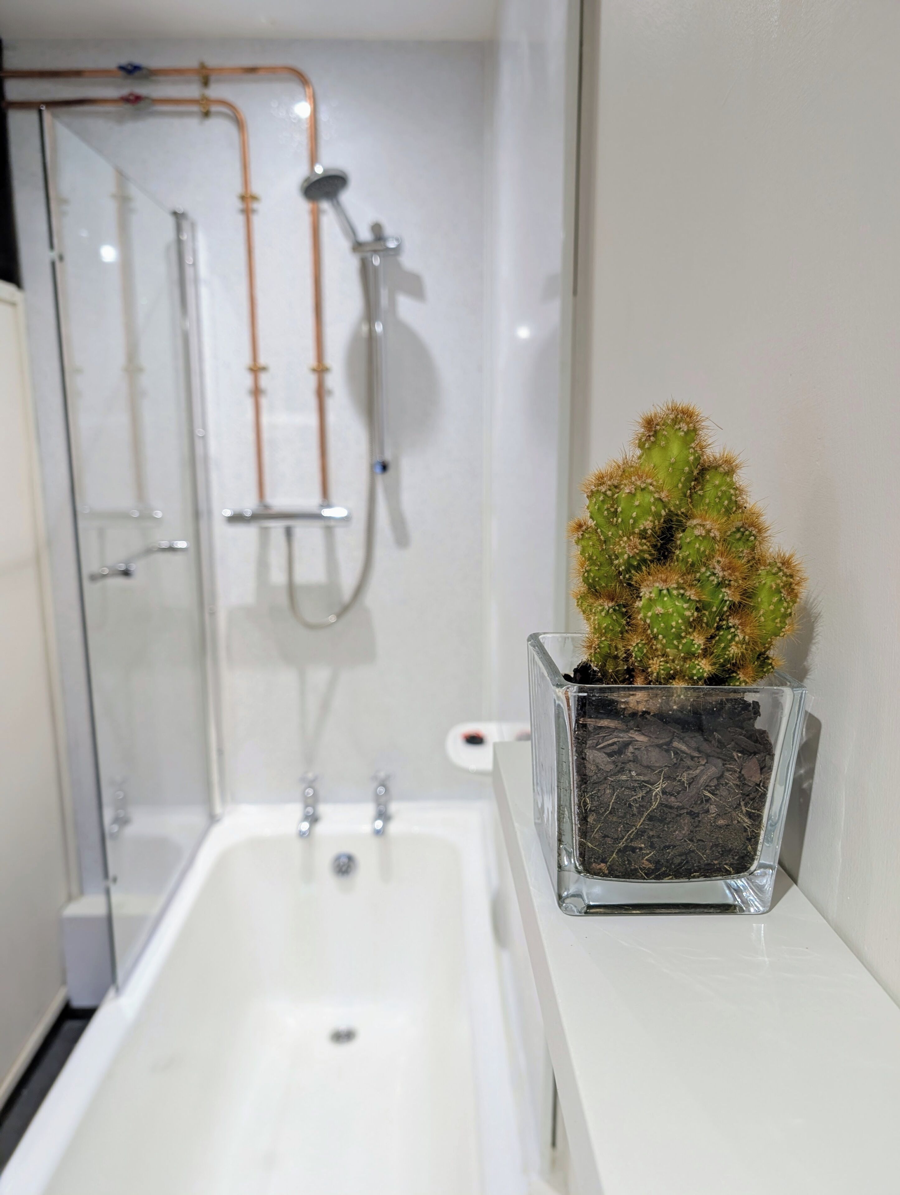 Towels, soap, toilet paper