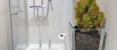 Toallas, jabón, papel de baño