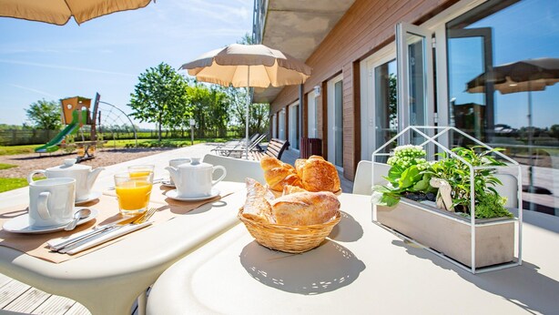 Una mesa dispuesta con alimentos para el desayuno, un cesto de pan y una maceta con plantas.